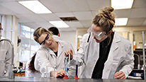 Icon for: NGSS Physical Science Labs for Preservice K-8 Teachers 