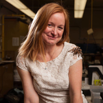 Icon for: Sehoya Cotner