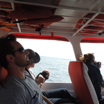 Icon for: Gustavo Hallwass